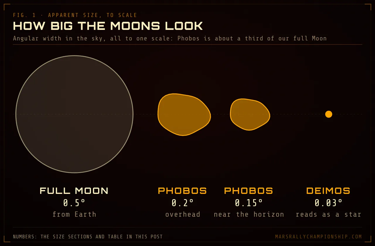 Diagram: apparent sizes drawn to one angular scale: the full Moon from Earth at 0.5 degrees, Phobos at 0.2 degrees overhead and 0.15 near the horizon, and Deimos at 0.03 degrees