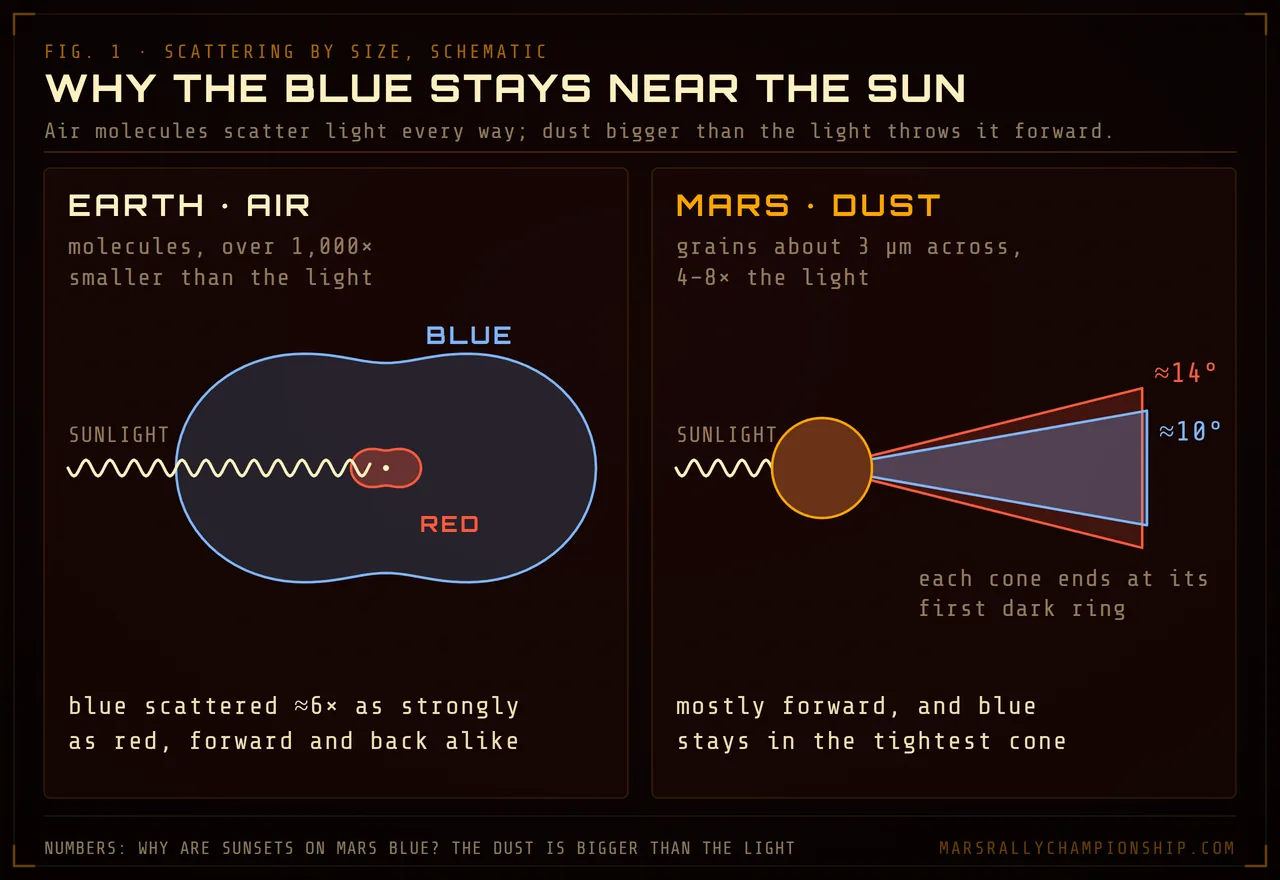 Diagram: light scattering on Earth and Mars, air molecules scattering blue forward and back alike, Martian dust grains throwing light forward in a tight blue cone inside a wider red one